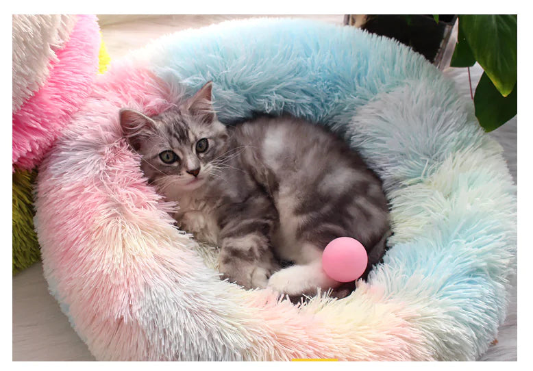Cama Donut Unicornio para Mascotas
